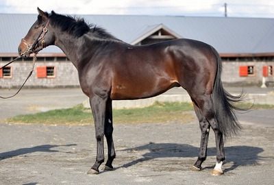 レッドコースト201112.jpg