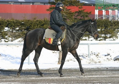 レッドジョーカー201103.jpg