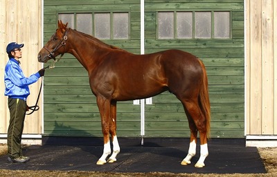レッドルーファス201103.jpg